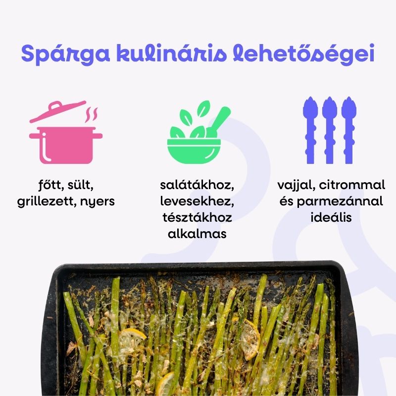 (Maďarština) (21)